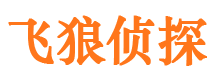 凤阳市侦探调查公司